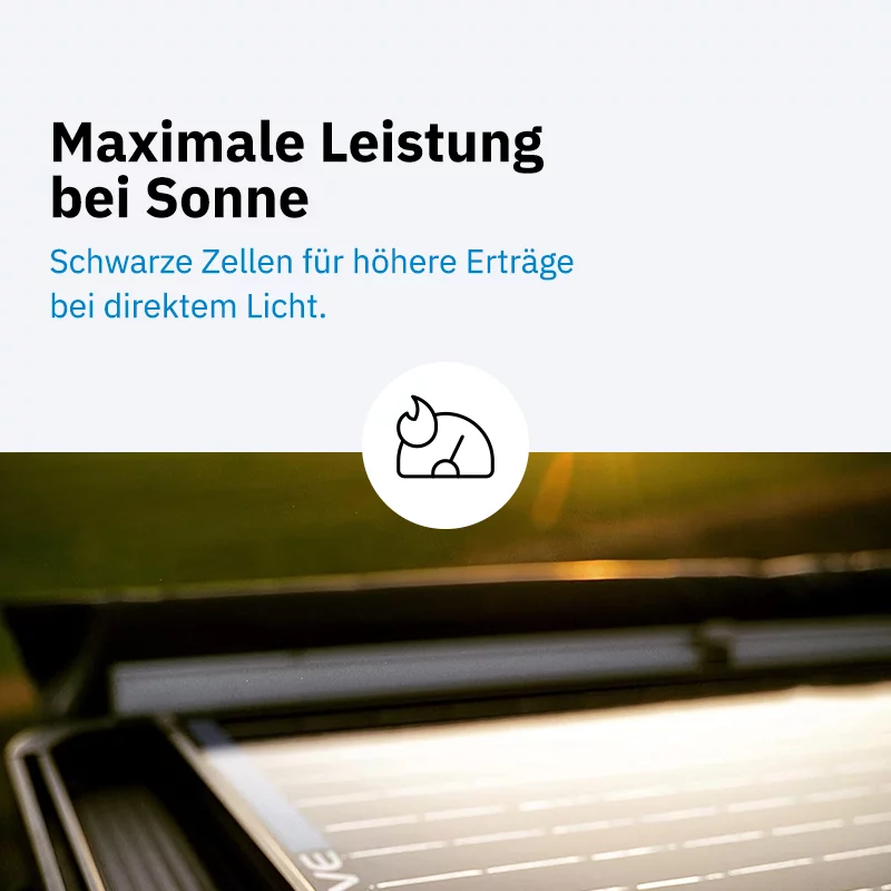 Vorschaubild 12